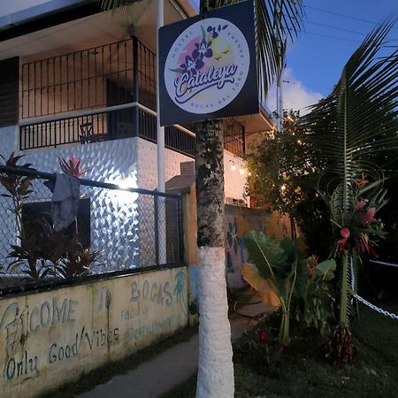 Cataleya Hostel Bocas Town Luaran gambar